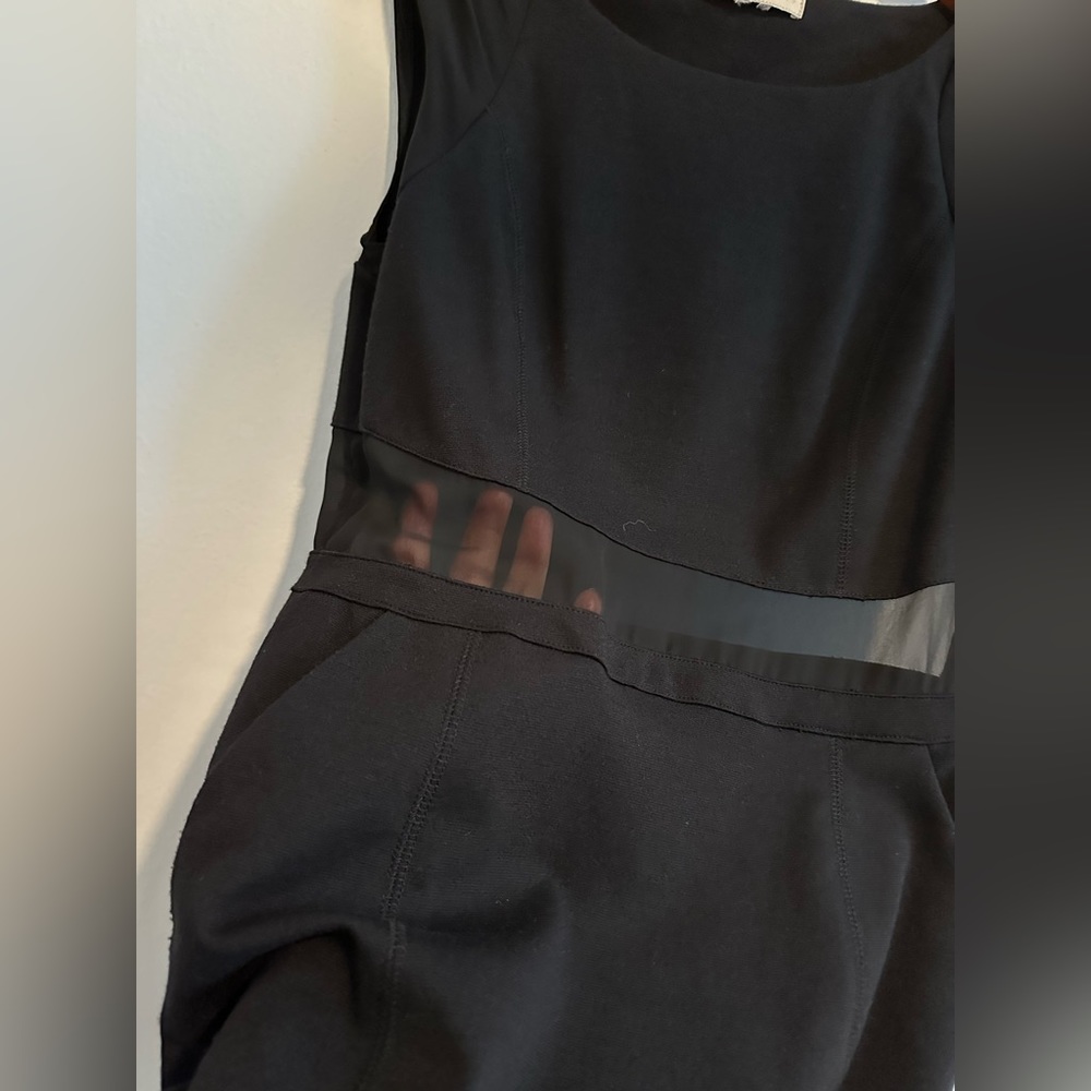 BCBG Sheer Dress